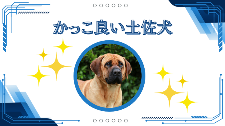 土佐犬